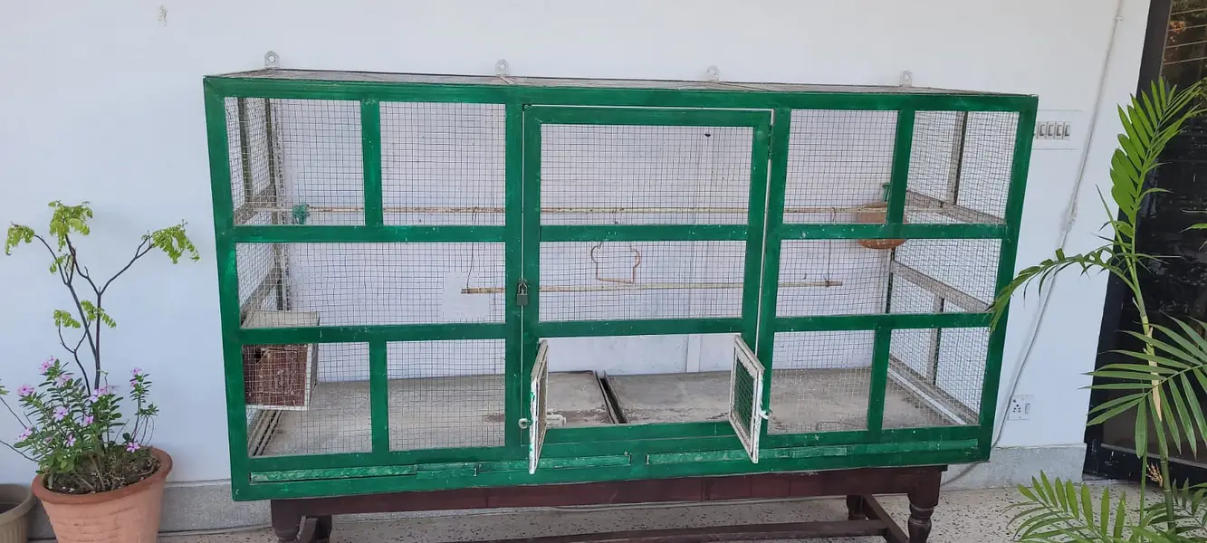 Large Bird Cage 6ft x 2ft | Wall Mount | 2 Trays | Iron Cage — photo 3