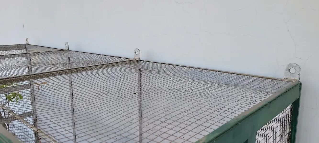 Large Bird Cage 6ft x 2ft | Wall Mount | 2 Trays | Iron Cage — photo 4