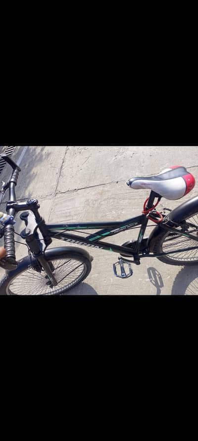 trigon cycle 10/10