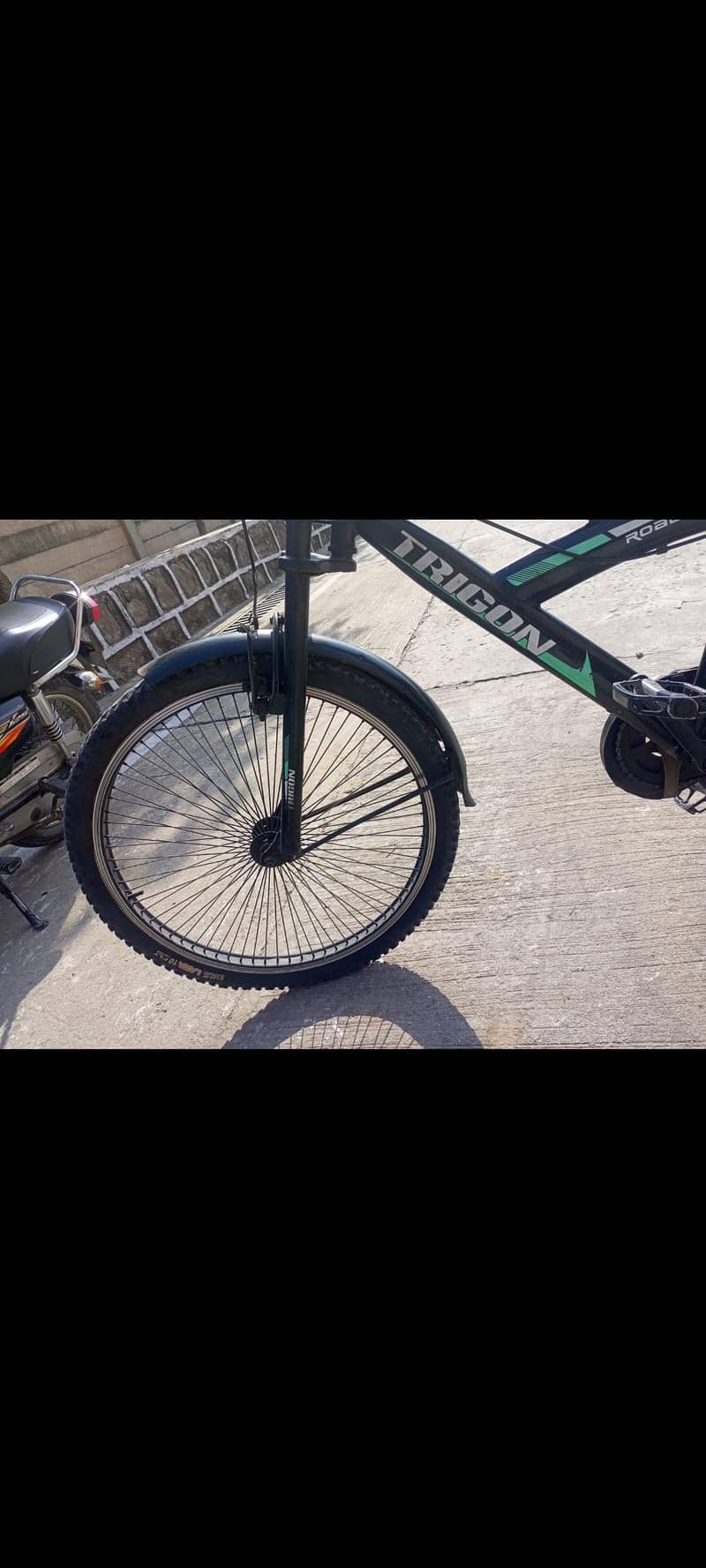 trigon cycle 10/10 3