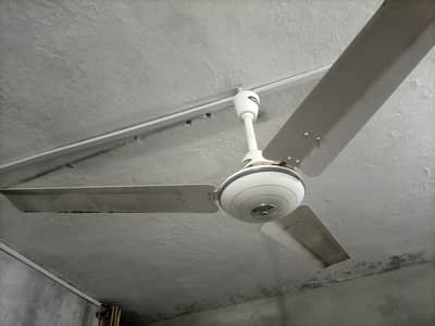 ceiling fan