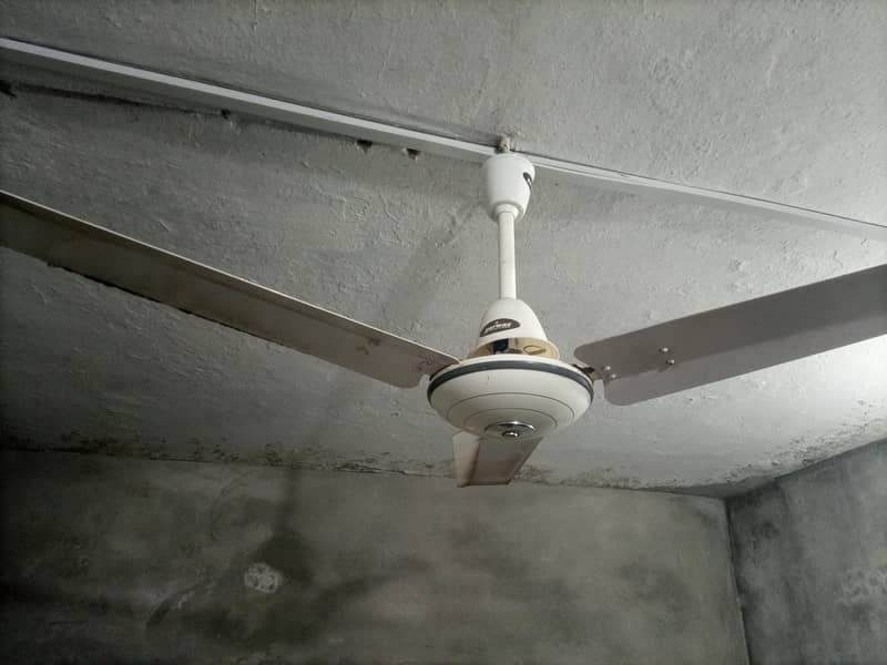 ceiling fan 1