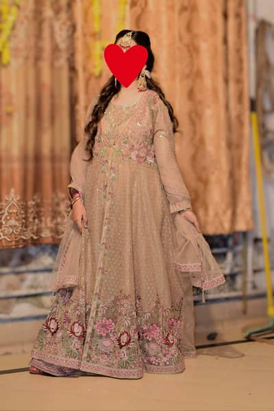 golden maxci  standard size hai