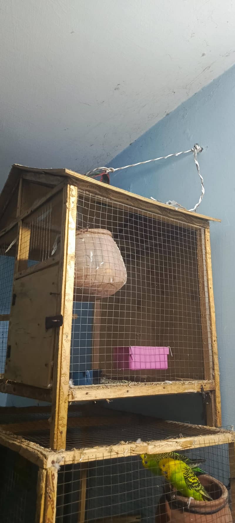 Cages 0