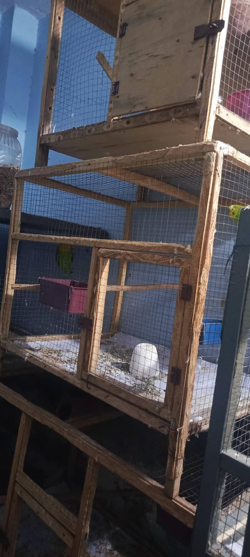 Cages 1