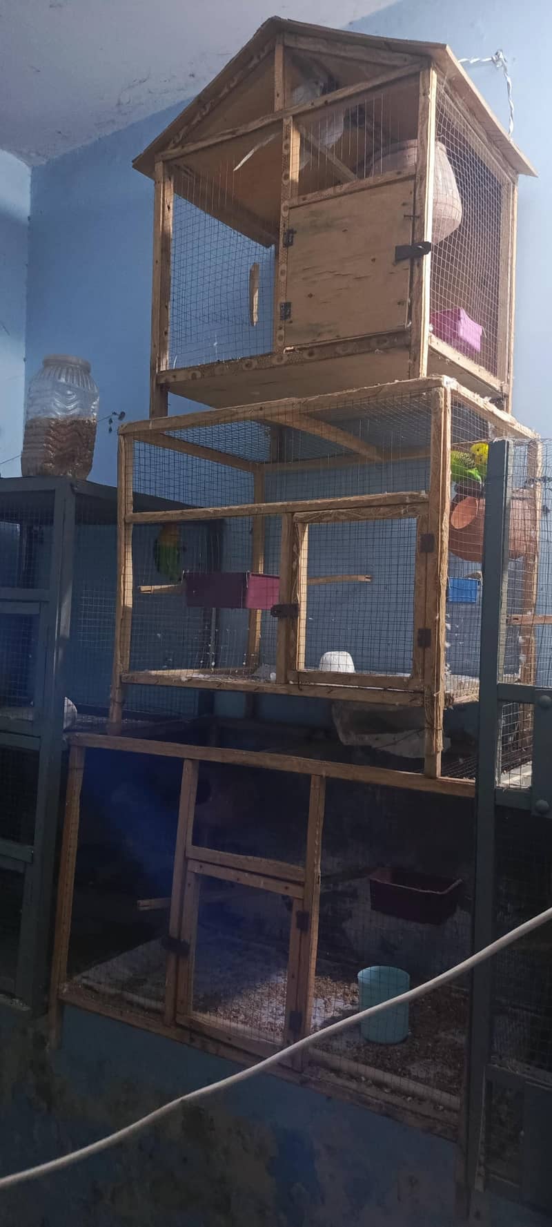 Cages 3