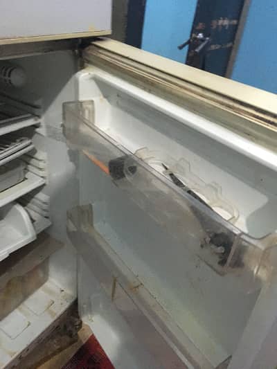 PEEL refrigerator