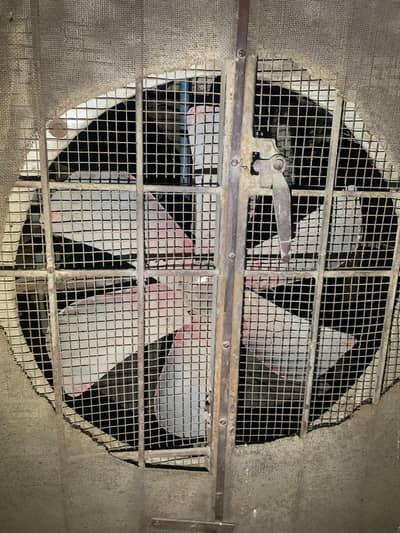 used cooler in fine condition