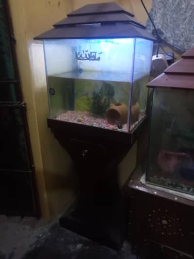 2 Aquarium and fishes