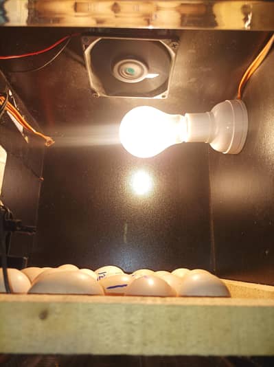 Incubator