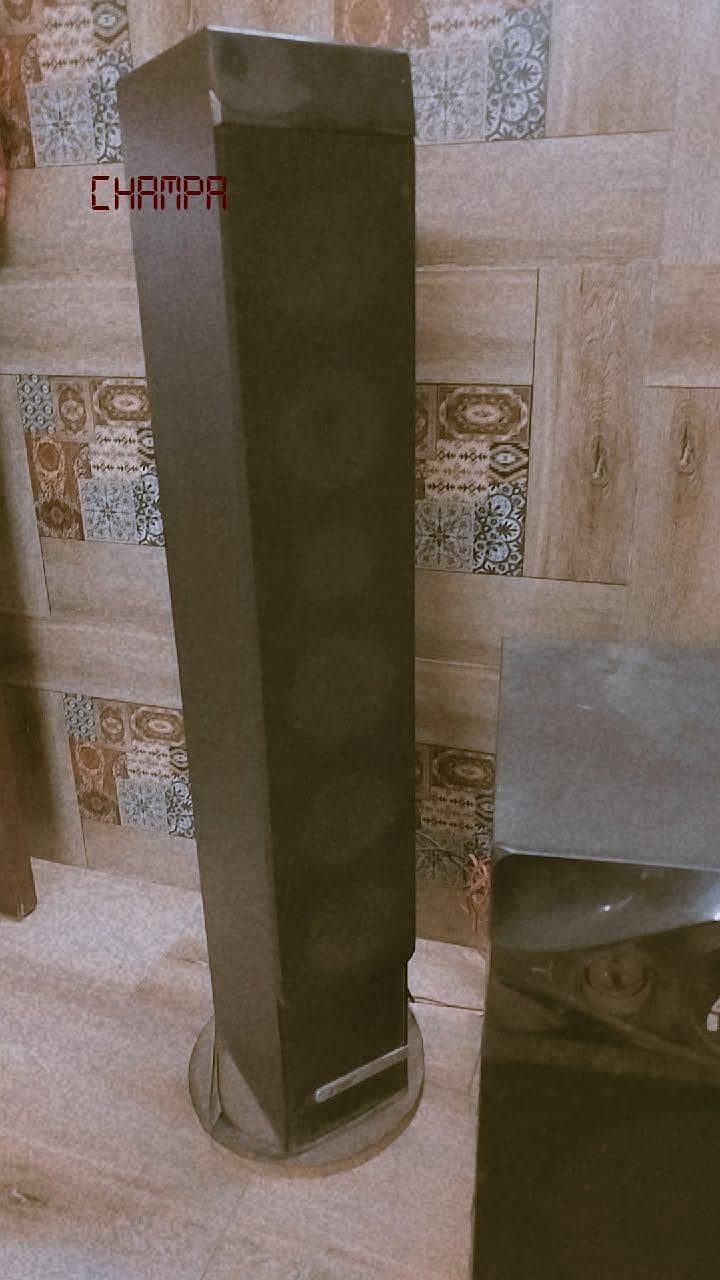 speaker system 1