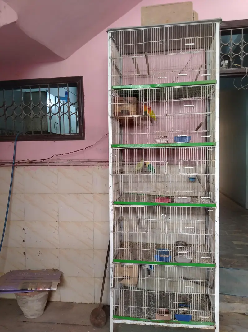 Cage for Sale