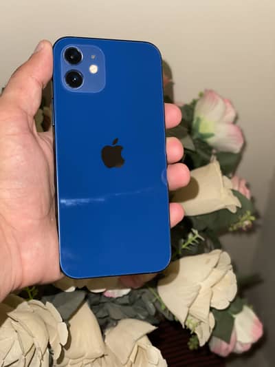 iPhone 12 mdm 256gb