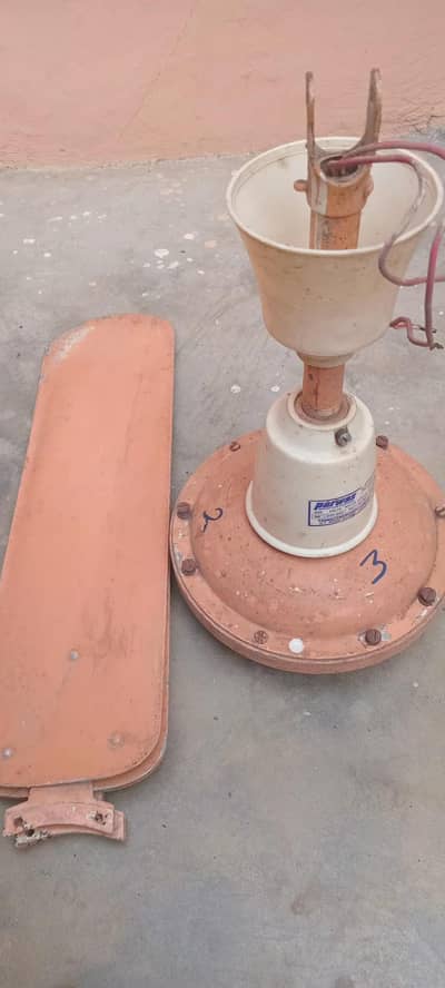 celling fan