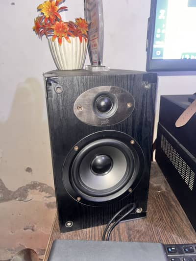 Polk 6 inch Driver Flat Speaker & Monitors With Amplifier