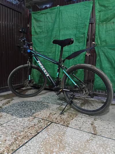 Phoenix Bicycle