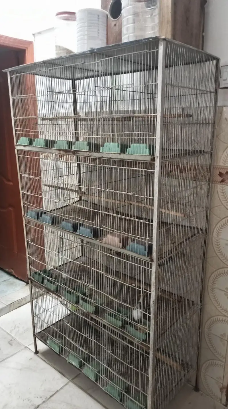 12 Portion Cage