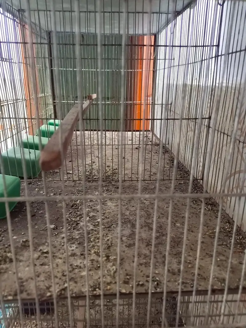12 Portion Cage — photo 3