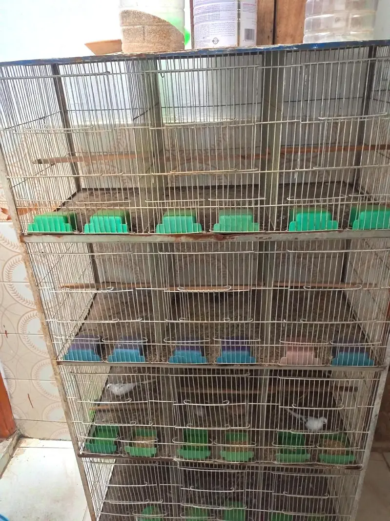 12 Portion Cage — photo 4