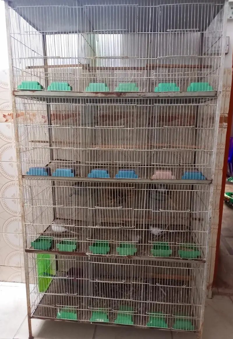 12 Portion Cage — photo 5