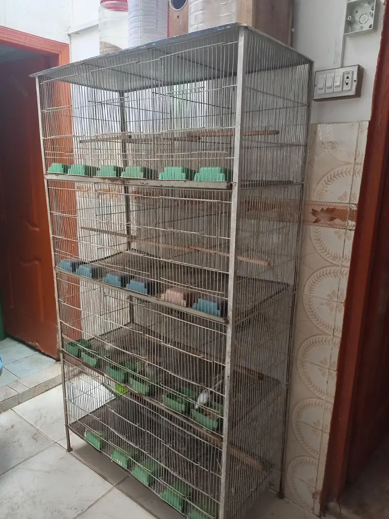 12 Portion Cage — photo 6