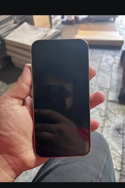 iPhone 13 Pro Max factory unlock