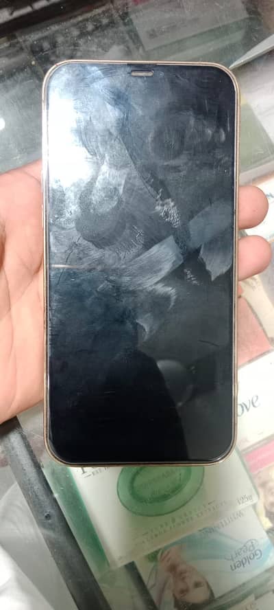 Apple iPhone 12 Pro Max