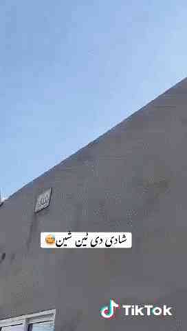 olx8398