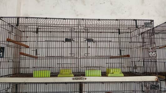 love birds cage