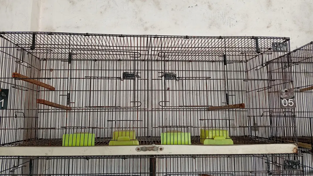 love birds cage — photo 2