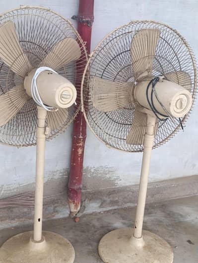 Stand Fan