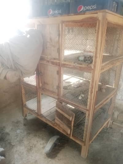 big hen cage