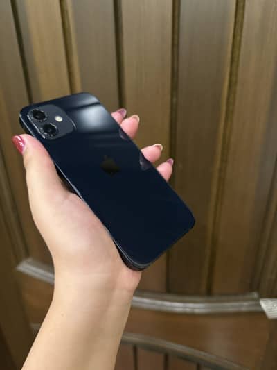 Apple iPhone 12