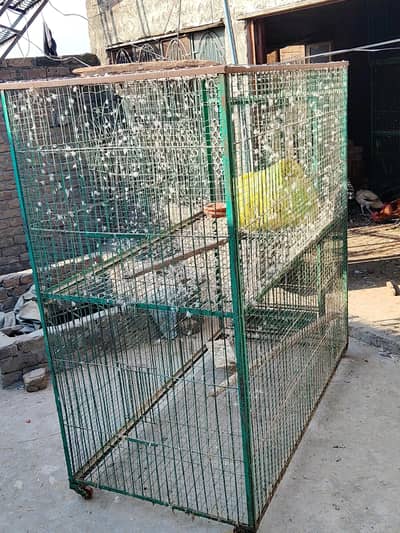cages for birds and animals