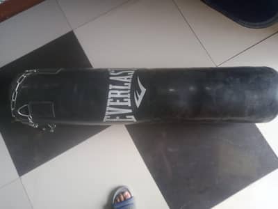 Boxing/Punching bag