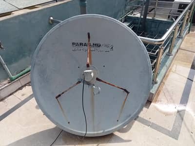 Dish anteena