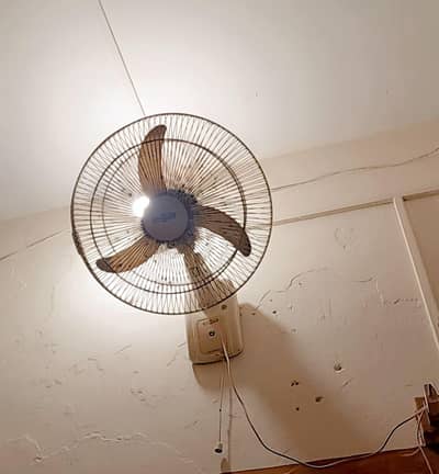 Diwar fan