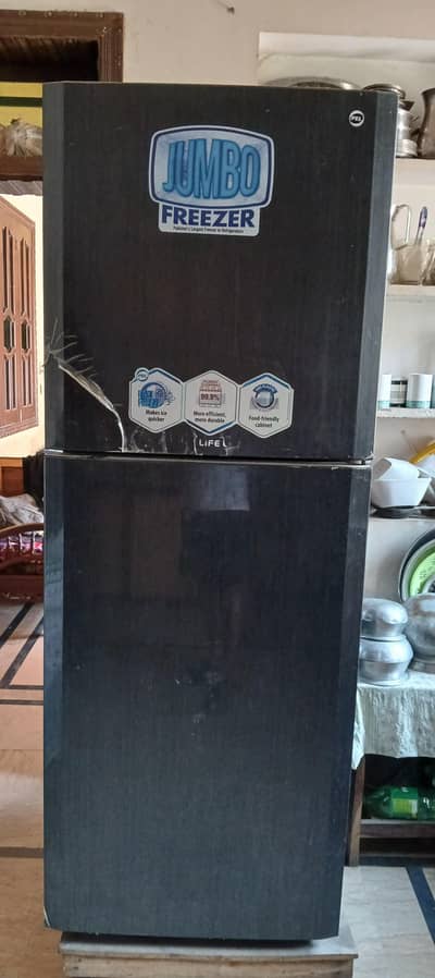 PEL Jumbo Refrigerator 2022 Model – Excellent Condition