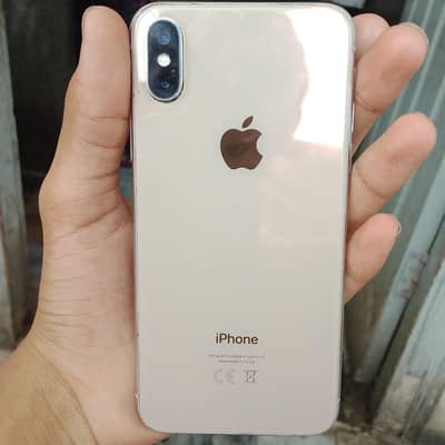 Apple iPhone X