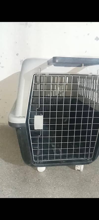 dogs cage /Master cage /
