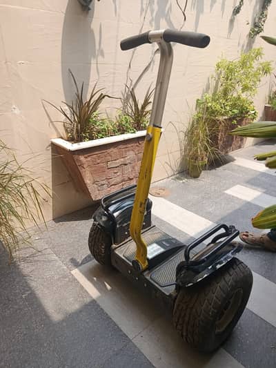 2 Wheel Self Balancing Electric Golf Cart