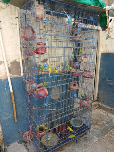 cage for birds