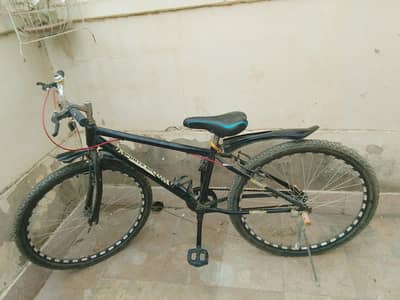 sport cycle