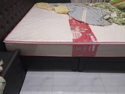 brand new bed molty home