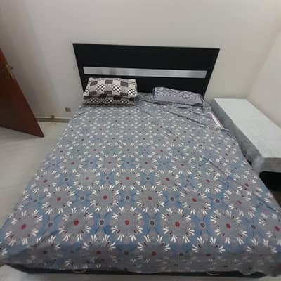 brand new bed molty home