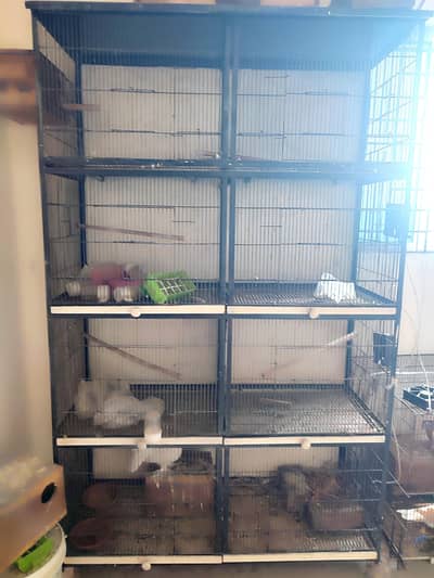 Cage 8 porion