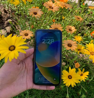 Apple iPhone XR non Pta jv