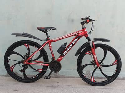 Roman Bike Imported Bicycle in Great condition