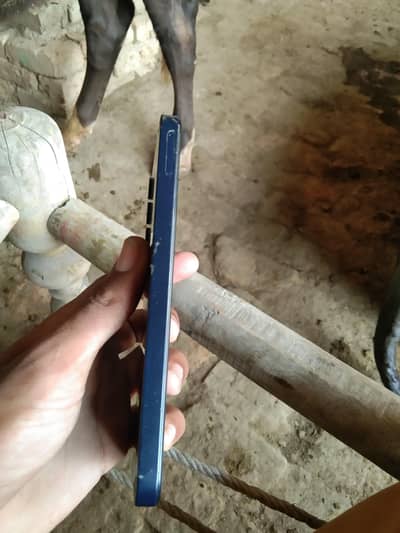 Samsung Mobile A15 5G