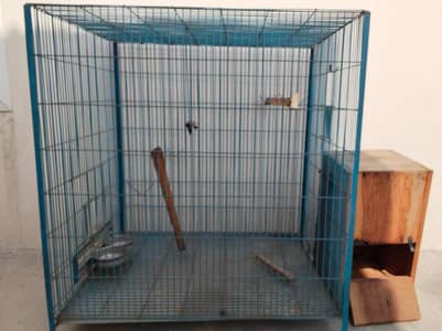 Parrots cage